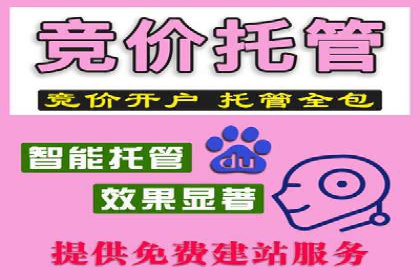 信息流广告投放案例分析：如何提升转化率